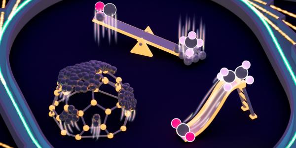 Adam's public lecture