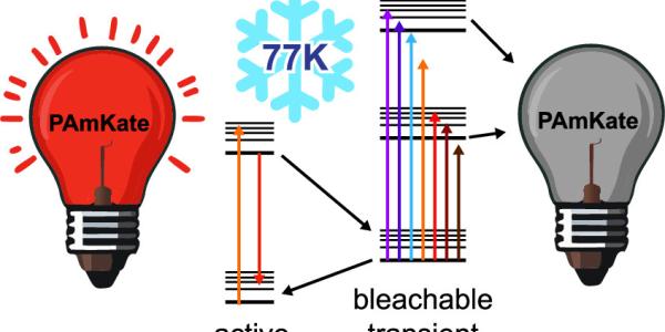 PAmKate Cryogenic Photophysics Published