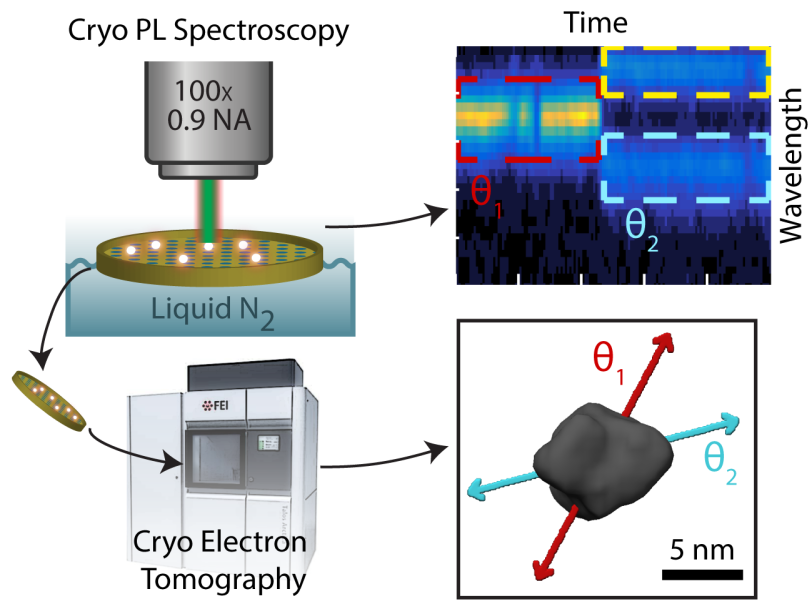 Correlative single-molecule spectroscopy and cryogenic electron tomography