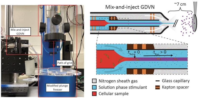 Time-resolved freezing apparatus