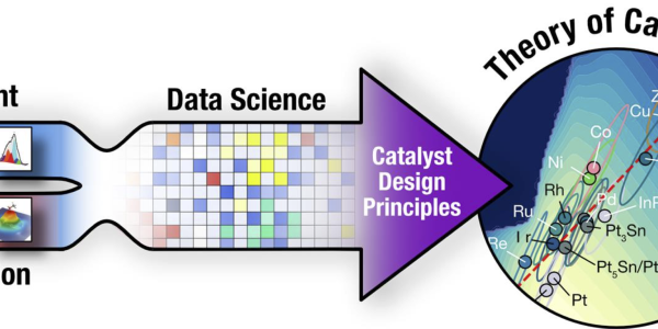 SUNCAT Exp't and Theory