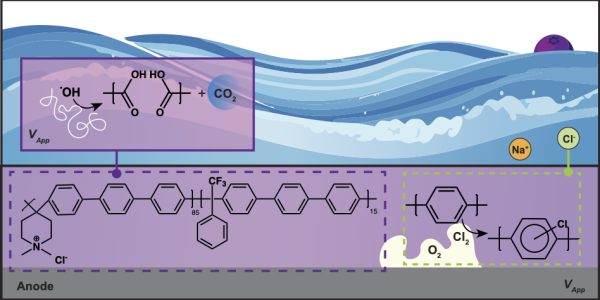 TOC Image - Ionomer Degradation