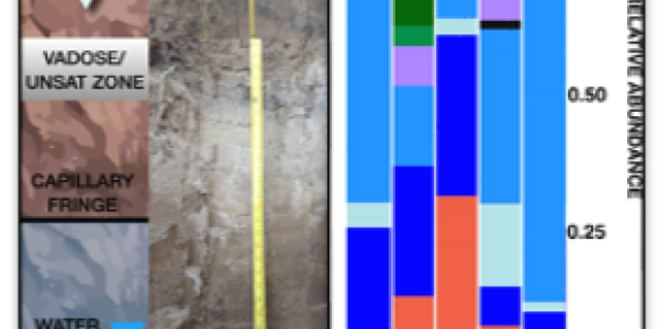 AOA clusters across sites