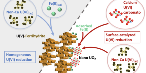 Dissolving calcium-carbonato-U(VI) species