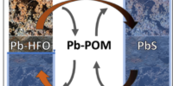 Low and high water diagram of Pb-POM