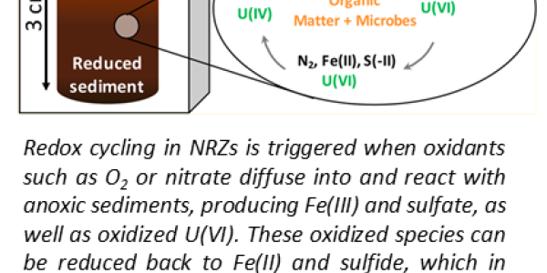 Redox cycling in NRZs