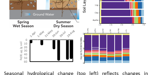 Spring wet season to summer dry season graph