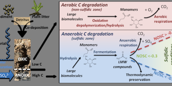 A chart of the Anaerobic C degradation in sulfidic and non-sulfidic zones