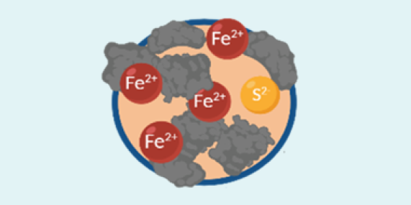 illustration of a ferrhydrite 