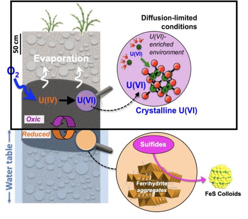 Chart showing oxic Diffusion-limited conditions