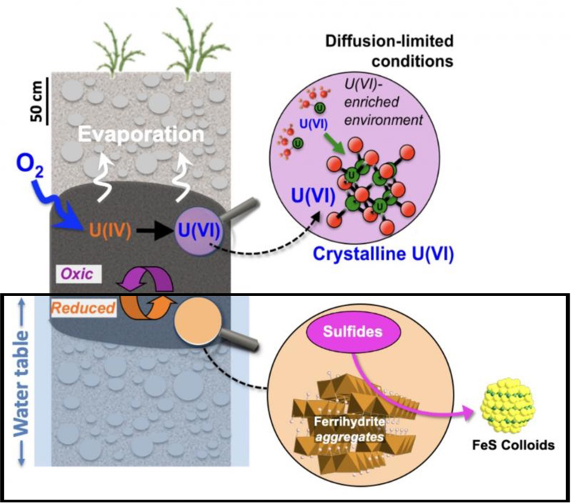 Chart showing reduced area of Diffusion-limited conditions