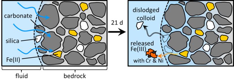 Exposure of carbonate-rich rock to aqueous solution resulted in Fe mobilization and precipitation with trace metals such as Cr and Ni and the dislodgement of inert colloids such as silica. 