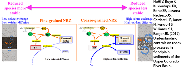 Controls on redox processes in floodplain 