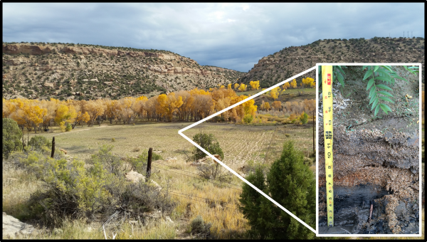 The soil layers of the floodplain