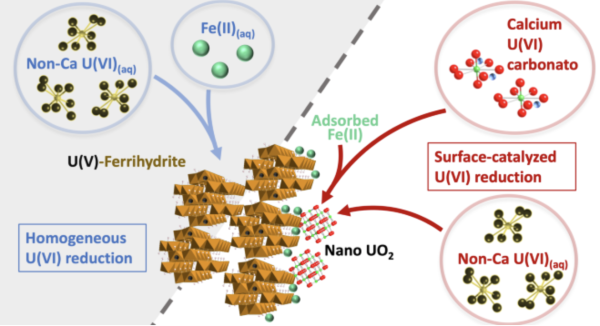 Dissolving calcium-carbonato-U(VI) species