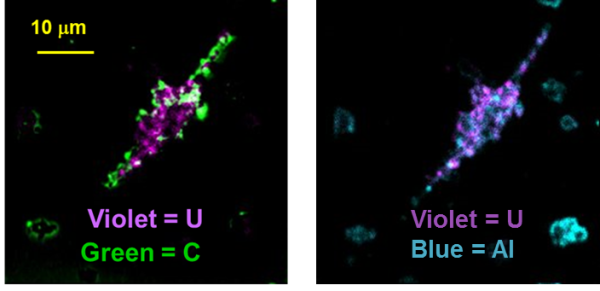 NanoSims organic matter