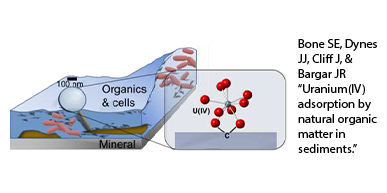 Organics and cells in water