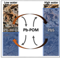 Low and high water diagram of Pb-POM