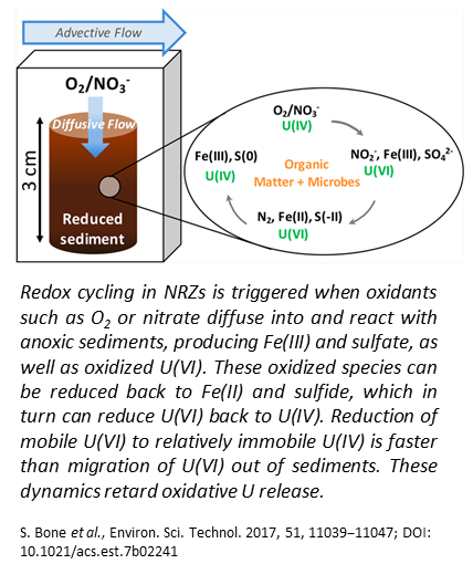 Redox cycling in NRZs