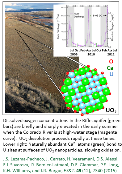 Dissolved oxygen concentrations in the Rifle aquifer