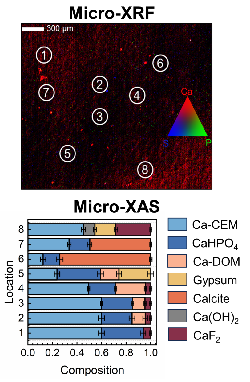 micro-XRF and XAS of membrane to identify inorganic and organic foulants