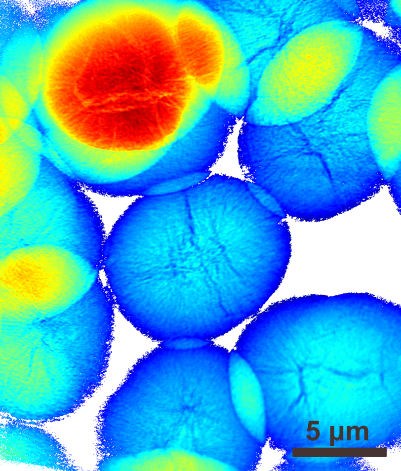 Microscopy image of Ni-based cathode particles
