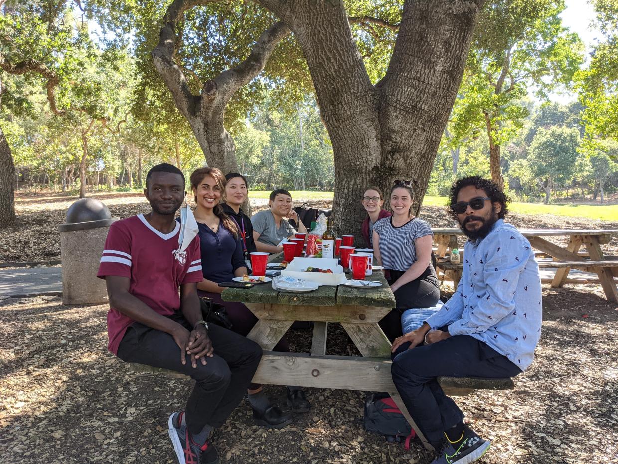 Team members sitting around a picnic table with food and drinks